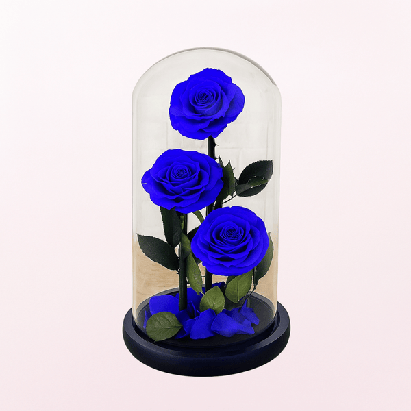 Royalty Love Blue Infinity Rose - Long Lasting Forever Rose - 3stem