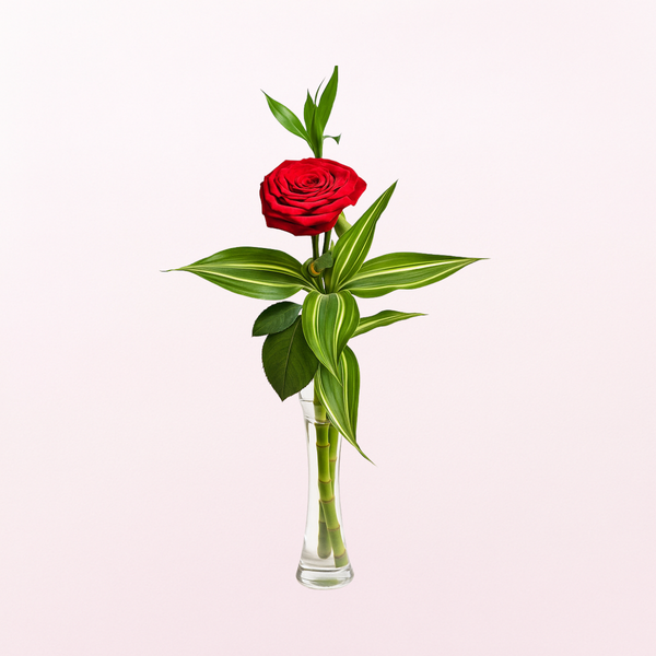 Charmie Solo Soul Red Rose on a Glass Vase