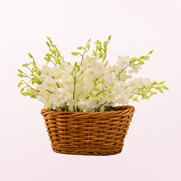 Pure Love Orchid on a Glass Vase