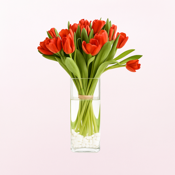Red Tulips Expression  PRE-ORDER 1DAY In Advance